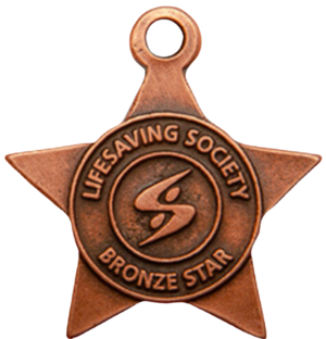 Picture of Bronze Star Medallion