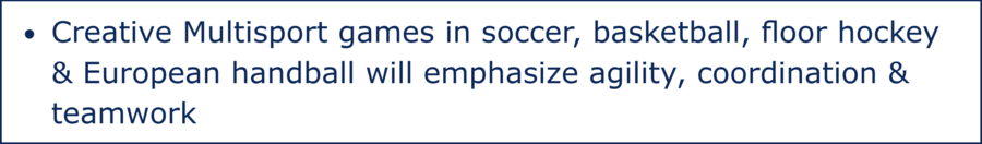 Full-day schedule includes half-day of specific theme & half-day of multisport & co-op games