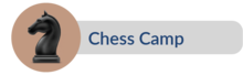 Chess Summer Camp Toronto