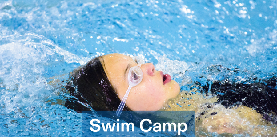 Swim Camp Banner