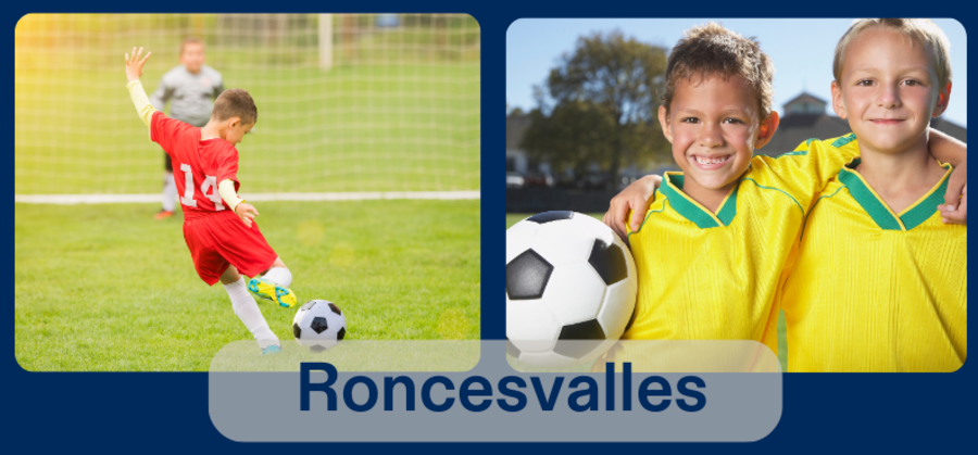 Roncesvalles 3V3 Soccer Banner