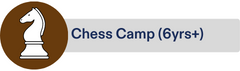Chess Summer Camp Toronto